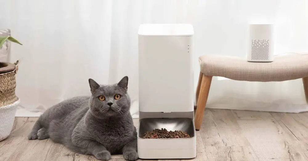 Xioami launches its smart feeder and drinker