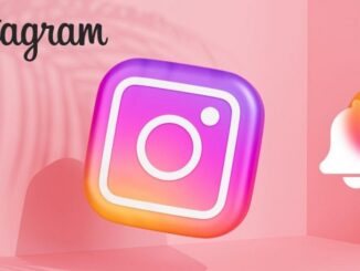 Alerts on Instagram: how to be the first to know
