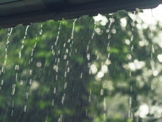 You must automate this in your smart home when it rains