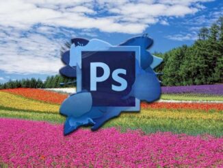 Wiederherstellen eines Fotos in Photoshop