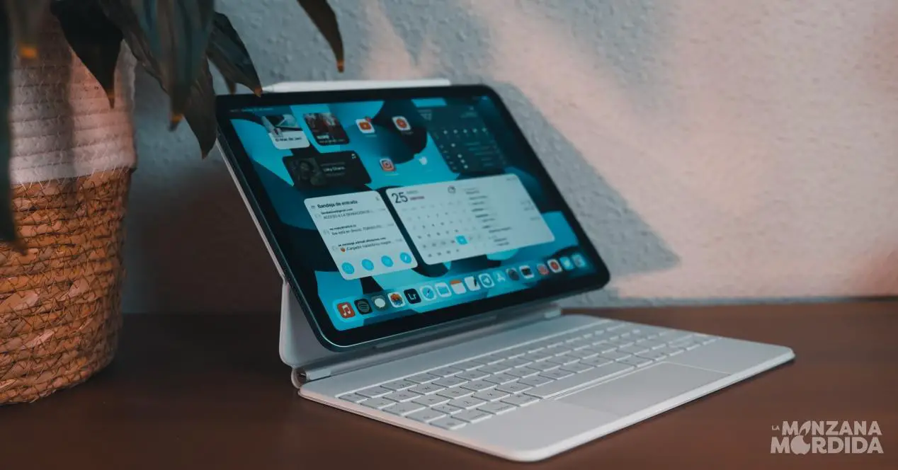 iPad에서 Visual Organizer를 활성화하고 사용하는 방법