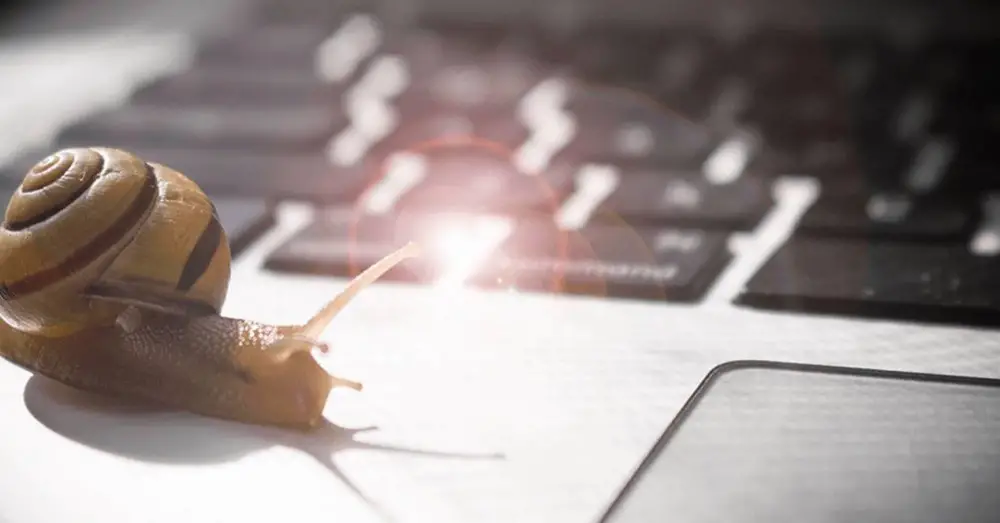 take advantage of it with Abandonware