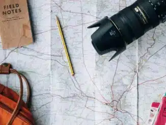 organize a trip