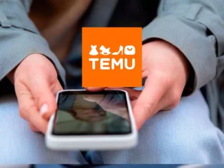 application Temu
