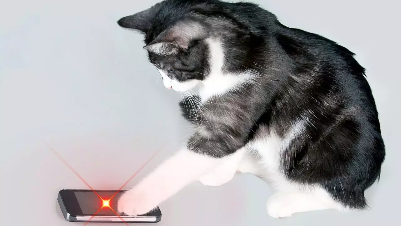 smartphone laser pointer