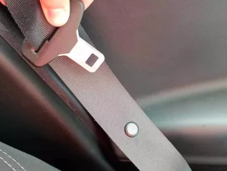 cintura di sicurezza con bottoni