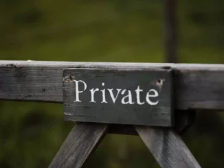 privat søk