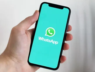 спам-сообщение в WhatsApp