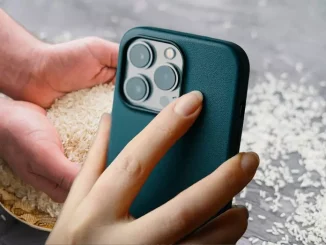 iphone rice