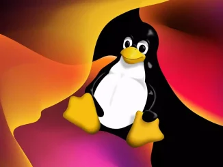 Linux Windows installieren