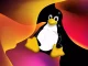 Linux Windows installieren