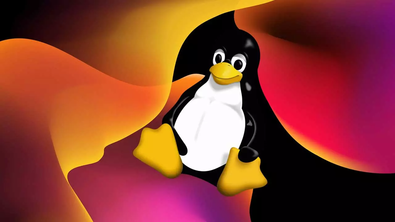 installer Windows Linux