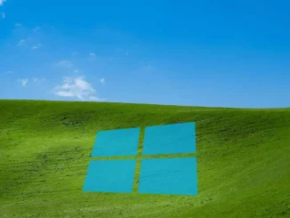 windows xp 11