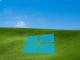 Windows XP 11