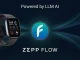 Zepp-Flow