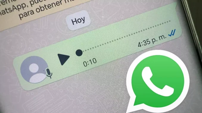 audio whatsapp zły