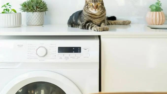 smart washmachine