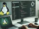 a programmer coding in a Linux environment